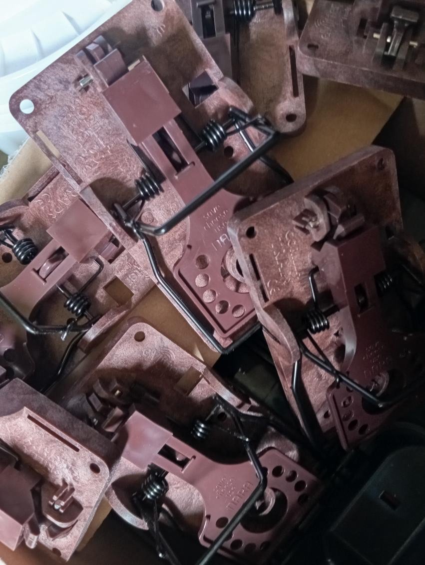 Résultat dératisation